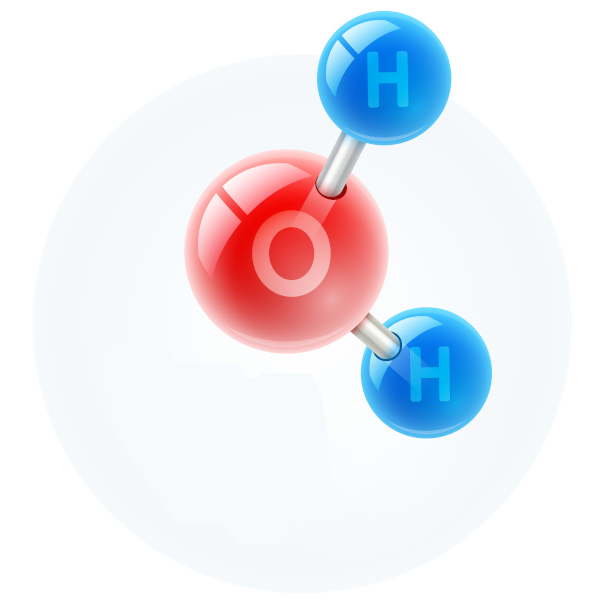 Molécula da água representando um dos níveis de organização em Biologia.