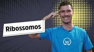 "Ribossomos" escrito sobre fundo cinza ao lado da imagem do professor