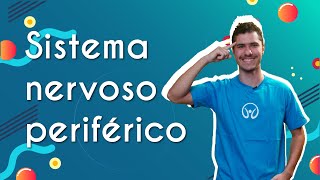 Professor ao lado do escrito "Sistema nervoso periférico".