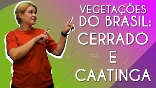 Professora ao lado do texto"Vegetações do Brasil: Cerrado e Caatinga".