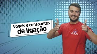 "Vogais e consoantes de ligação" escrito sobre fundo azul ao lado da imagem do professor