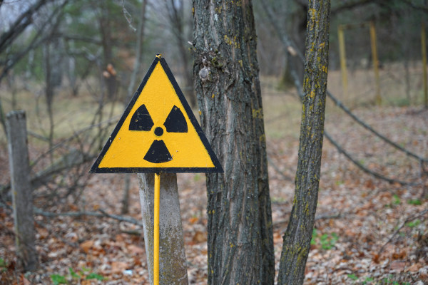 Símbolo de perigo de radiação em uma floresta, em Chernobyl.