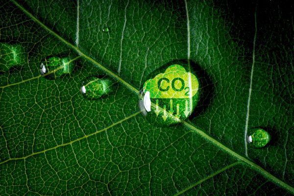 Gotas da água, em folha de uma planta, com símbolo indicando a redução do gás carbônico em alusão aos créditos de carbono.