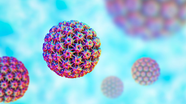 Representação do vírus do HPV, um dos fatores associados ao câncer do colo do útero.