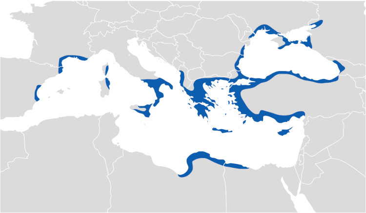 Mapa do território dos gregos em sua máxima extensão.