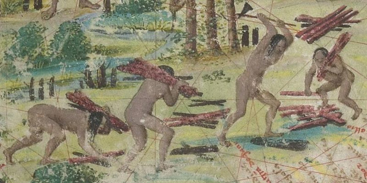 Pintura retratando indígenas cortando o pau-brasil durante o Brasil Colônia.