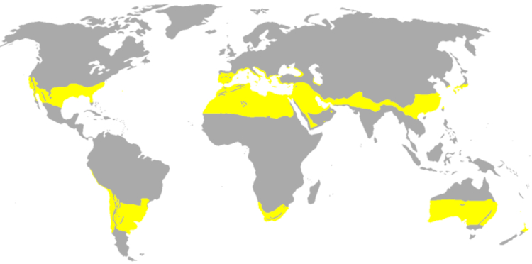 Mapa das zonas de clima subtropical no mundo.