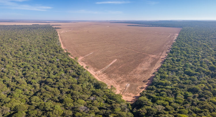 Vista aérea de grande área desmatada, um impacto ambiental no Brasil.
