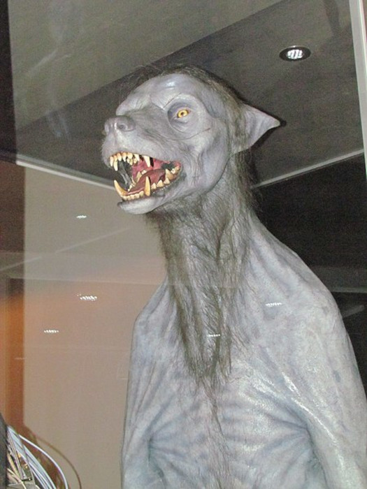 Boneco do personagem Remus Lupin transformado em lobisomem, no filme “Harry Potter”.