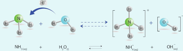 Demonstração do caráter básico da amônia, segundo a teoria de Brønsted-Lowry.