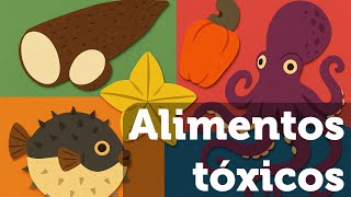 Título "Alimentos tóxicos" escrito sobre imagens de alimentos tóxicos ao ser humano.
