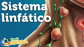 Título "Sistema linfático" escrito sobre imagem do corpo humano com enfâse naos vasos linfáticos.