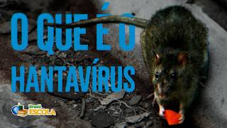 Texto "O que é o hantavírus" escrito ao lado de um roedor.