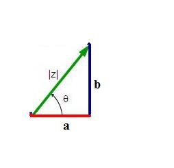 Forma trigonométrica