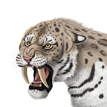 Os tigres-dentes-de-sabre apresentavam grandes presas de aproximadamente 20 centímetros