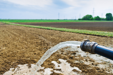 O reúso da água na agricultura contribui para a preservação desse recurso natural
