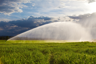 A irrigação, na agricultura, é a atividade que mais consome água