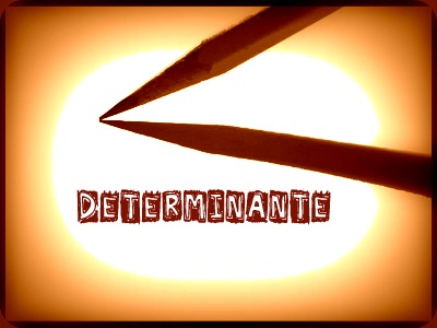 O conceito que se aplica ao termo “determinante” diz respeito ao fato de ele ser constituído pelos adjuntos adnominais
