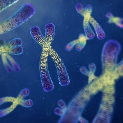 Nos cromossomos estão presentes todas as nossas informações genéticas