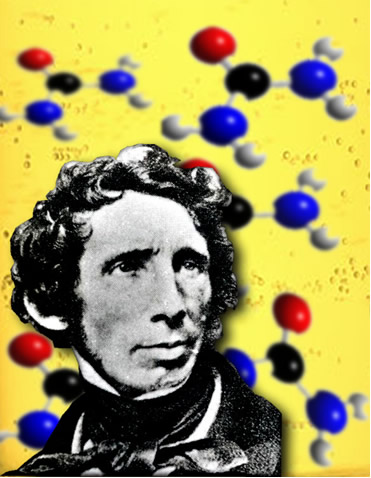 Friedrich Wöhler foi o primeiro a sintetizar a ureia em 1828, fato que foi considerado o marco inicial da Química Orgânica
