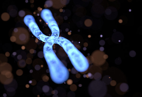 Quando ocorre uma mudança na morfologia de um cromossomo, dizemos que houve uma alteração cromossômica estrutural