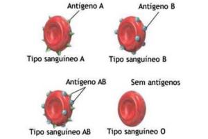 Relação entre grupos sanguíneos e antígenos.