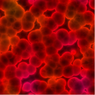 Glóbulos vermelhos do sangue vistos de um microscópio. Isso revela que o sangue não é uma mistura homogênea, mas sim um coloide