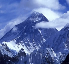 O monte Everest se encontra a uma altitude de 8.848 metros, portanto não encontramos vegetação neste local.