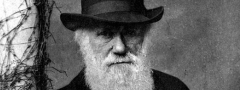 Charles Darwin: naturalista que muito contribuiu para o estudo da evolução.