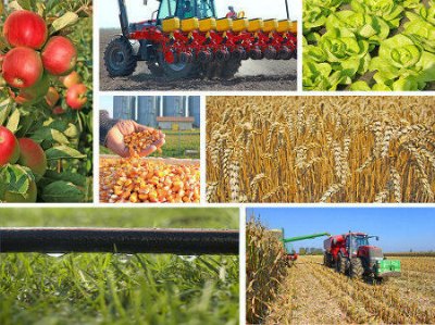 A agricultura é uma atividade econômica que envolve diversos setores da economia, como a indústria, comércio e serviço