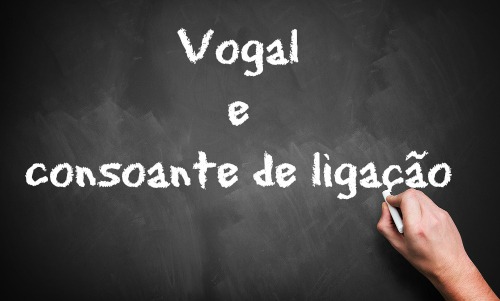 As vogais e as consoantes de ligação são morfemas que têm as funções de formar, facilitar e possibilitar a pronúncia de algumas palavras