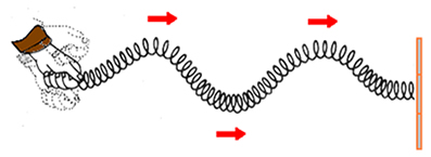 Criação de uma onda transversal: uma das extremidades da mola é fixa e a outra é movimentada