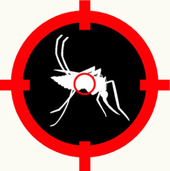 Para diminuir os casos de dengue devemos diminuir os criadouros do mosquito