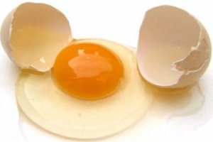 A clara do ovo é formada por uma proteína chamada albumina.