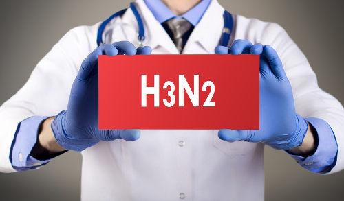 O vírus H3N2 apresenta como característica sua grande capacidade de mutação