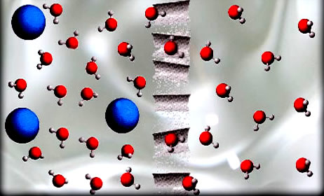 No processo de osmose há a passagem de solvente, como as moléculas de água mostradas na figura, por uma membrana semipermeável