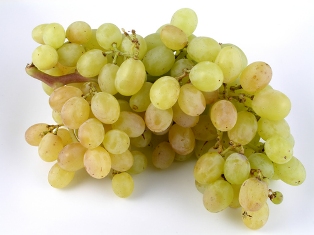 A giberelina pode ser usada comercialmente na produção de frutos. Nas uvas Thompson, atua aumentando o fruto e deixando os cachos mais soltos