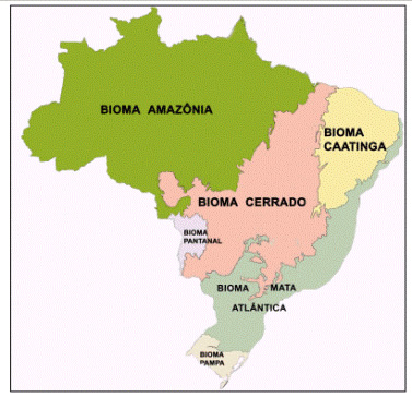 Mapa produzido pelo IBGE com os biomas brasileiros.¹