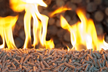 Produção de energia a partir da queima da biomassa 