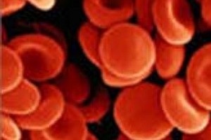 Hemácias: células sanguíneas muito importantes.
