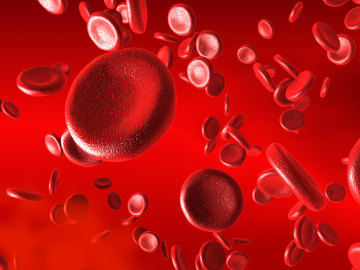 Os eritrócitos são vermelhos em razão da presença de hemoglobina