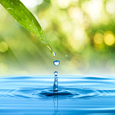 No dia 22 de março é celebrado o Dia Mundial da Água
