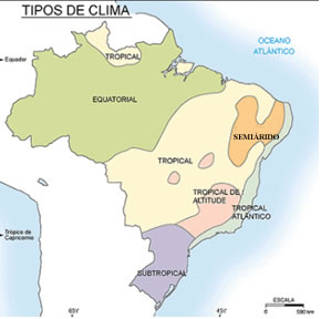 A vegetação brasileira: tipos, características e mapa