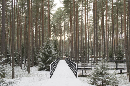 O nome do massacre faz referência à floresta de Katyn, local onde muitos mortos foram enterrados em valas comuns