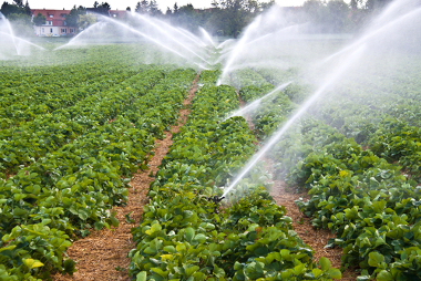 Os sistemas de irrigação utilizam muita água, o que aumenta a necessidade de economia