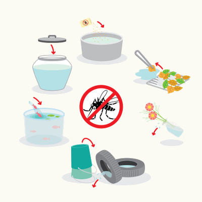 A dengue pode ser prevenida por meio de medidas que visem à diminuição dos mosquitos transmissores